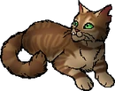 StarClan Version