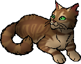 Crookedstar | Warriors Wiki | Fandom