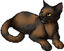 StarClan Version