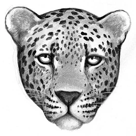 Secrets of the Clans/Mythology