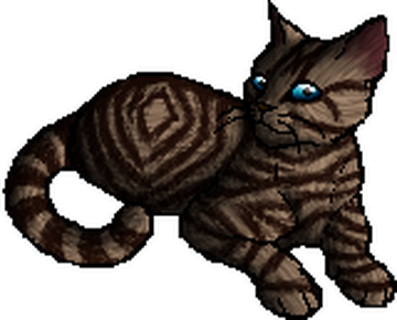 Flamepaw (TC), Warriors Wiki, Fandom