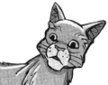 Barkface.SE-6-1.png (395 KB) Barkface in Tallstar's Revenge