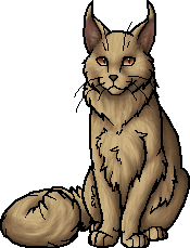 Mistpaw, Warriors Wiki