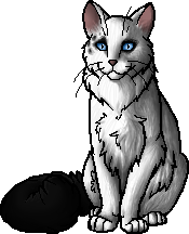 Warrior cat, Warrior cats, Cat wiki