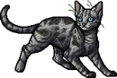 Jayfeather.apprentice.png (30 KB) Apprentice Version