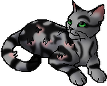 Ashfur (ShC), Warriors Wiki