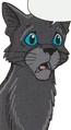 Rainwhisker in Ravenpaw's Path