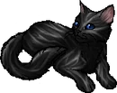 Aspentail.star.png (24 KB) StarClan Version