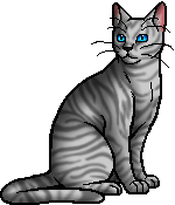 Kitescratch, Warriors Wiki