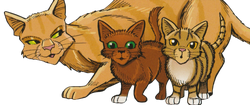 sandstorm (warrior cat) Animated Picture Codes and Downloads  #96851196,497307337