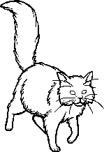 Guess that cat based off the oddly designed Warriors Wiki sprite