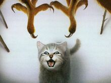 Snowkit.jpg