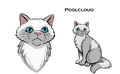 Concept artwork for Poolcloud