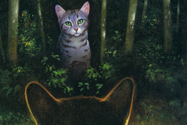 BRIGHT　STREAM Bright Stream | Warriors Wiki | Fandom