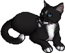 StarClan Version