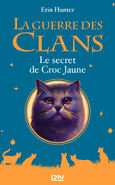 Alternate French Language Edition E-book Released in France