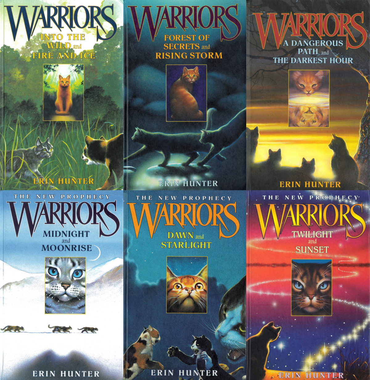 Beyond the Code, Warriors Wiki