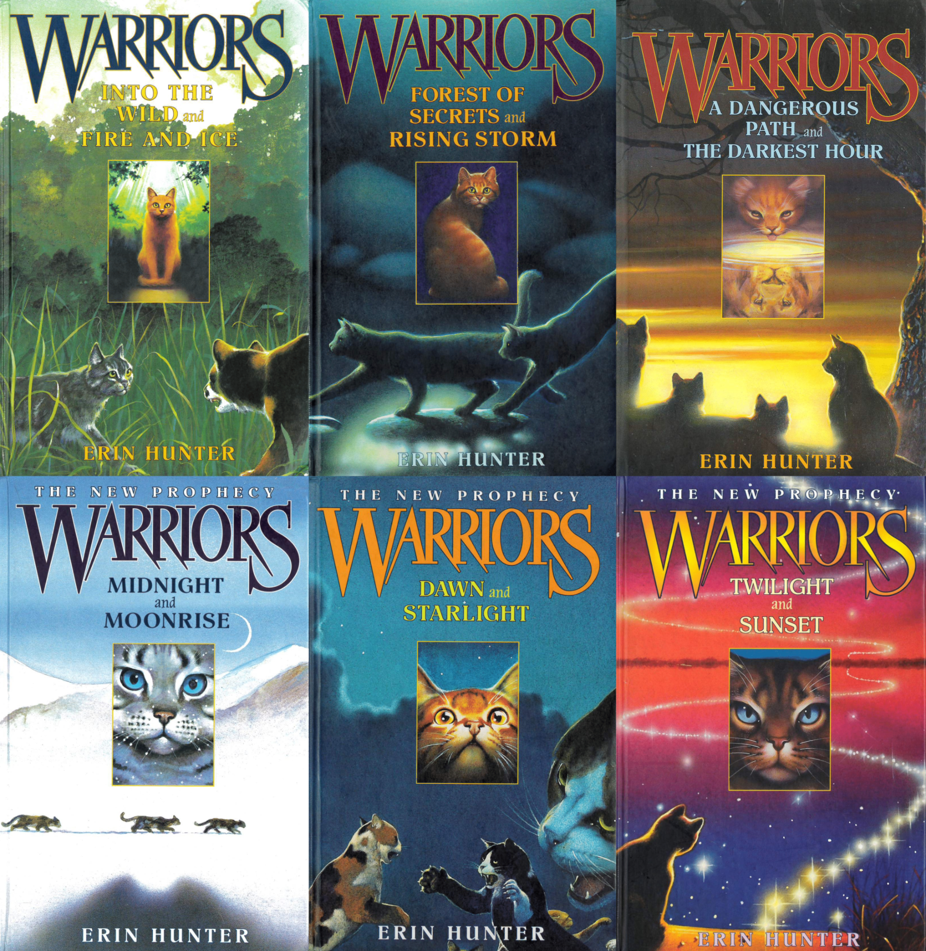 Warriors A Dangerous Path Book