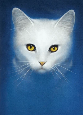 The Ultimate Guide/ShadowClan