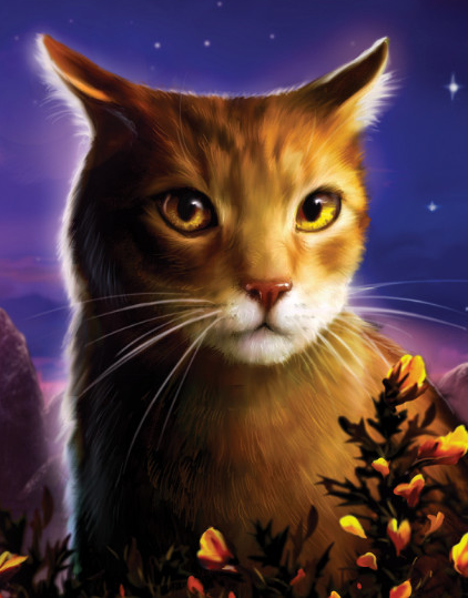 Defend Your Clan, Even at the Cost of Your Life” – The World of Warrior Cats