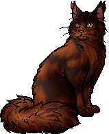 Redtail, Warrior cats Wiki