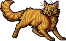 Tigerstar (AVoS).apprentice.alt.png (25 KB) Alternative Apprentice Version