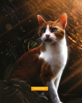 windclan wallpaper