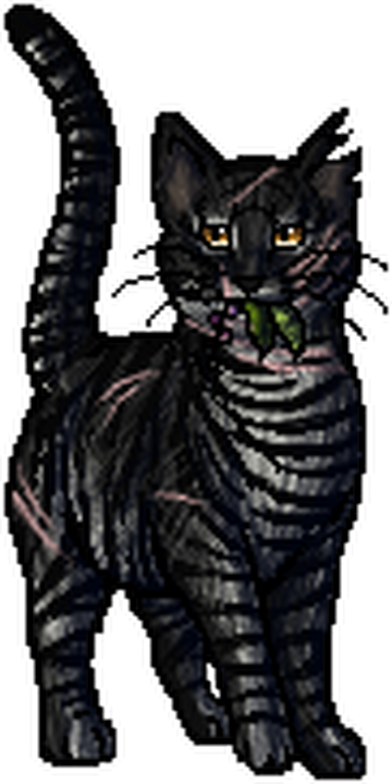 Shadowsight  Warrior cats art, Warrior cats, Warrior cat