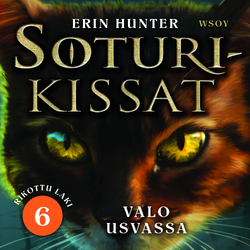 A Light in the Mist (Warriors: The Broken Code #6) by Erin Hunter,  Paperback