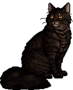 Brambleclaw's warrior image: a mackerel tabby