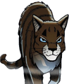 Hawkfrost in Winds of Change