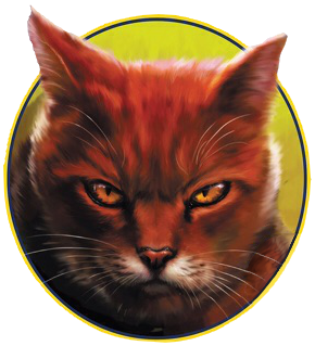 Medicine Cat Code- Bookclan Info, Wiki