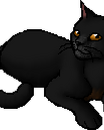 Spiderleg Warriors Wiki Fandom Spiderleg Warriors Wiki Fandom