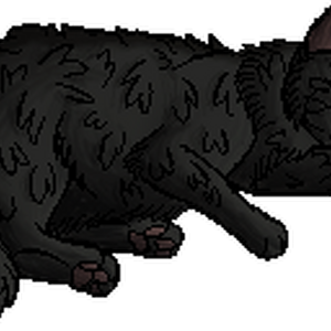 Graystripe Warriors Wiki Fandom Canva's free family tree maker allows you to showcase your history at a glance. graystripe warriors wiki fandom