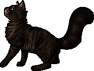 Tigerstar (TPB), Warriors Wiki, Fandom