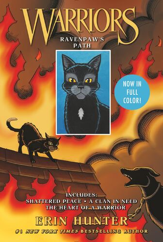 Yellowfang's Secret (Warriors Super Edition Series #5) by Erin Hunter,  James L. Barry, Paperback