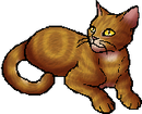 StarClan Version