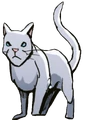 Willowpelt in Exile from ShadowClan