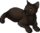 Barkface.star.png (14 KB) StarClan Version