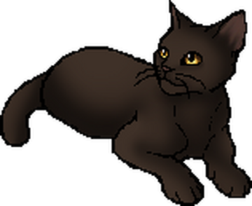 10 Oldest Warrior Cats 