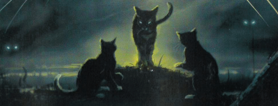 warrior cats dark forest cats