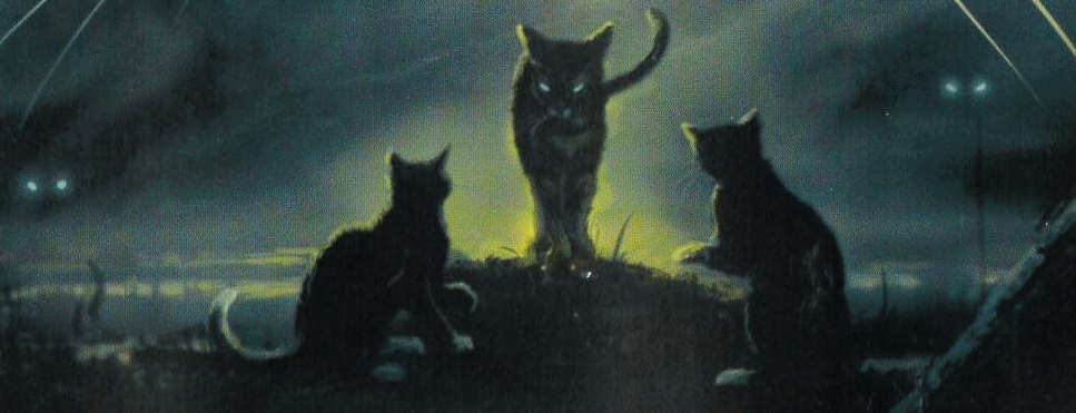 warrior cats dark forest vs starclan