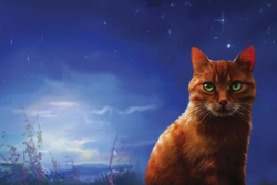 Firestar's Quest, Warriors Wiki