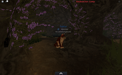 Warrior Cats Ultimate Edition Warriors Wiki Fandom - warrior cats forest territory roblox wiki