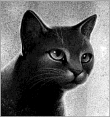 Bluestar's Prophecy - Wikipedia