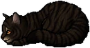 Tigerstar (AVoS).kit.png (14 KB) Kit Version