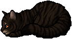 Tigerstar II, Abetterwarriorcatswiki Wiki