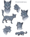 Concept artwork for Feathertail