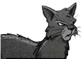 Sharpclaw in SkyClan's Destiny