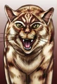 Tigerstar on the cover of Escape from the Forest